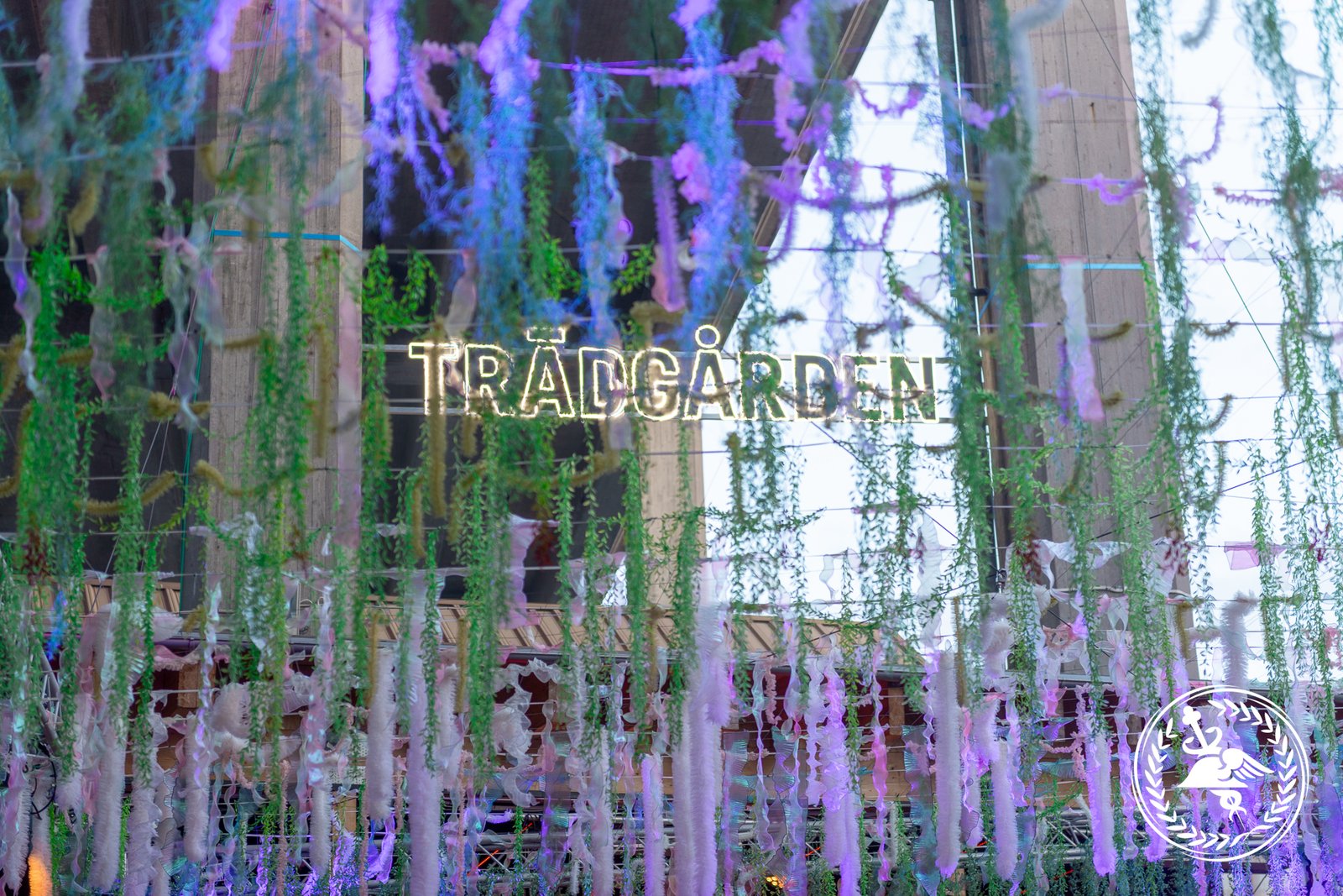 Festivalborg25-NC-248